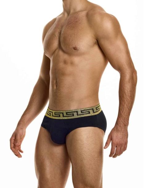 Preview: Bold Meander Brief